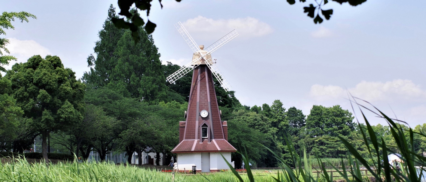 浮間舟渡公園フリーマーケット会場の写真
